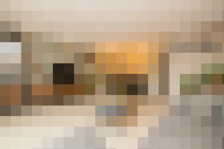 Leeuwerik 23 Kwintsheul thumbnail 13