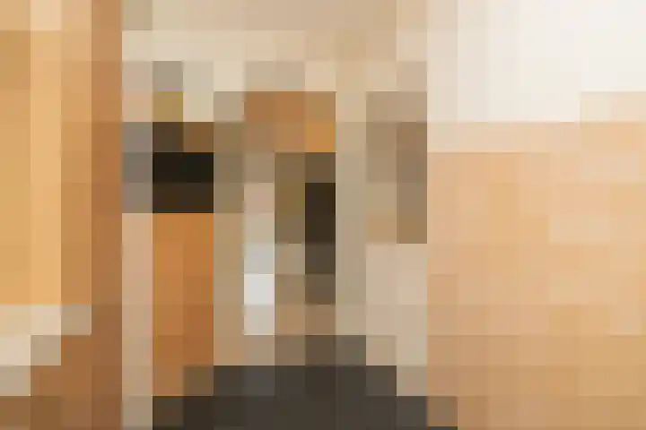 Leeuwerik 23 Kwintsheul thumbnail 17