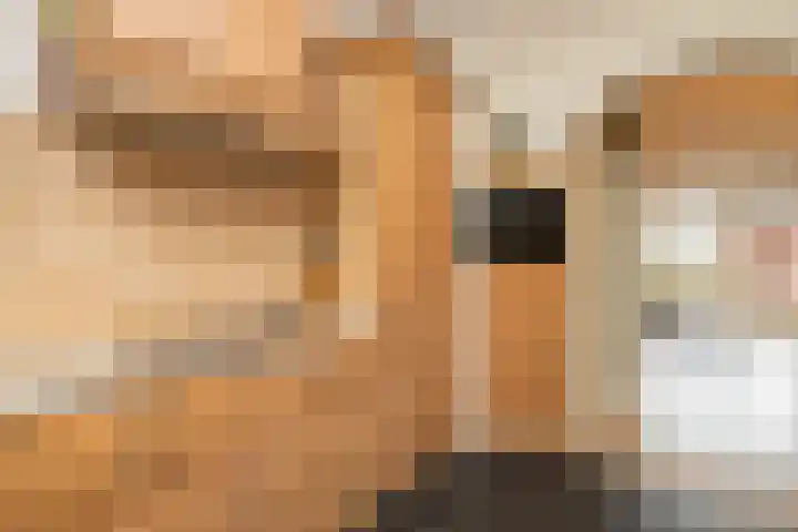 Leeuwerik 23 Kwintsheul thumbnail 18