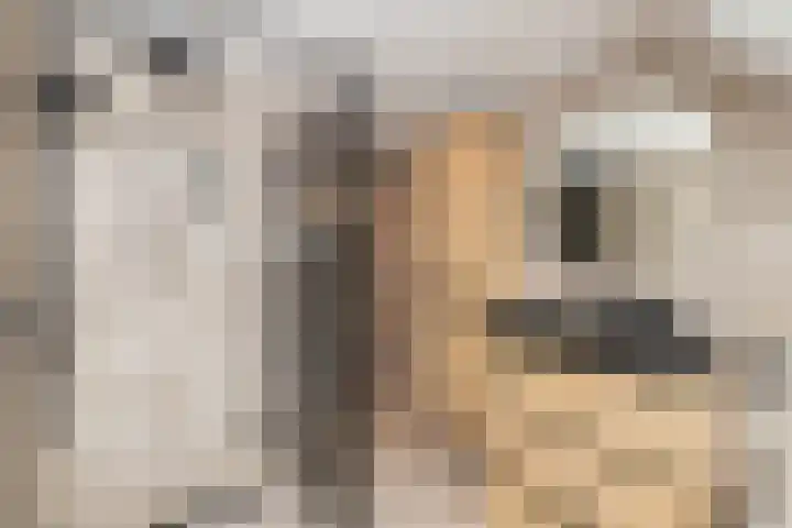 Leeuwerik 23 Kwintsheul thumbnail 26