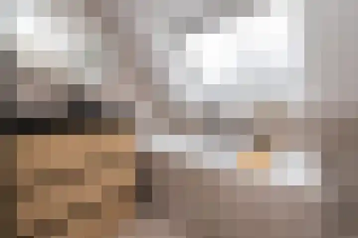 Leeuwerik 23 Kwintsheul thumbnail 27