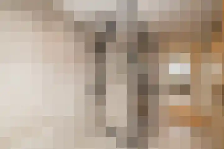 Leeuwerik 23 Kwintsheul thumbnail 28