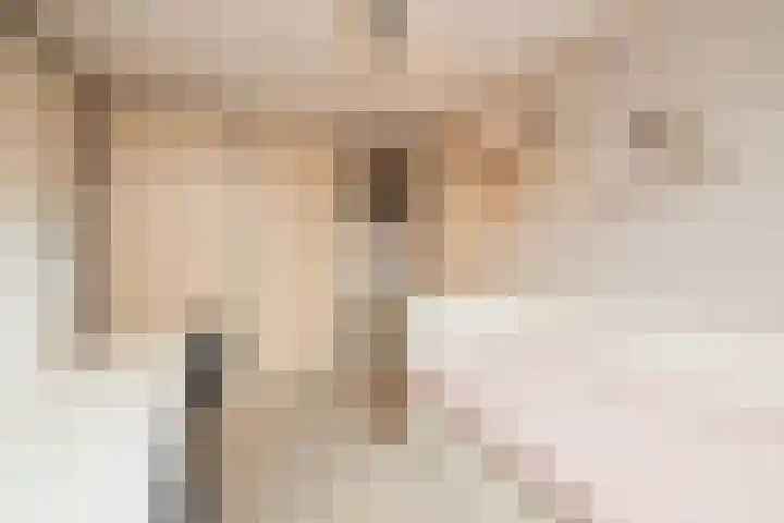 Leeuwerik 23 Kwintsheul thumbnail 31