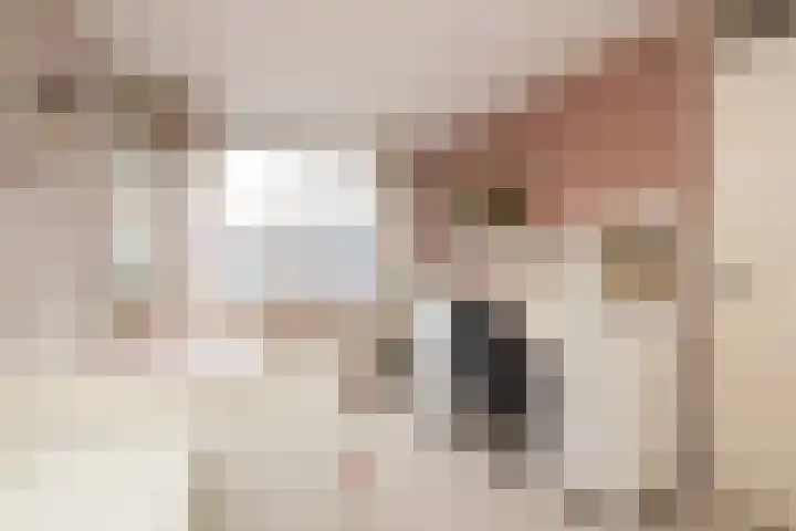 Leeuwerik 23 Kwintsheul thumbnail 32