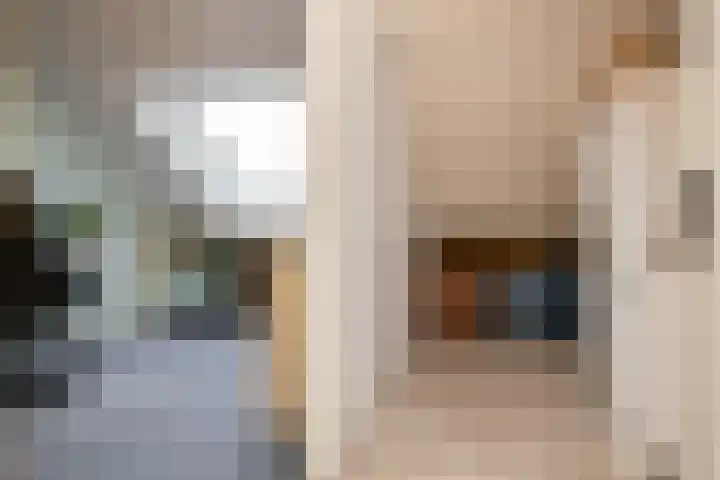 Leeuwerik 23 Kwintsheul thumbnail 33
