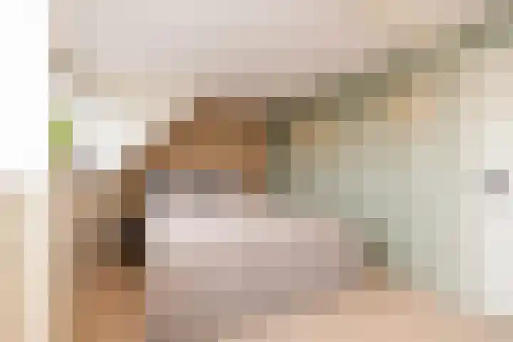 Leeuwerik 23 Kwintsheul thumbnail 35
