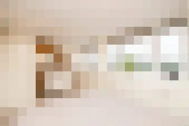Leeuwerik 23 Kwintsheul thumbnail 36