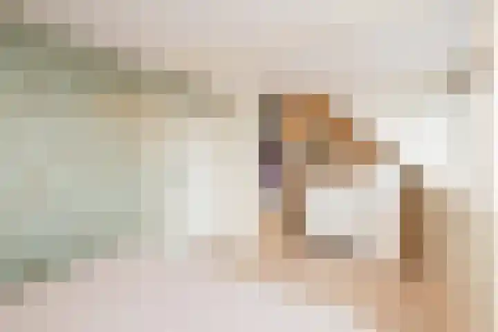 Leeuwerik 23 Kwintsheul thumbnail 37