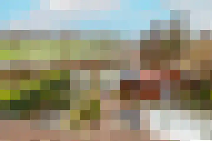 Leeuwerik 23 Kwintsheul thumbnail 38