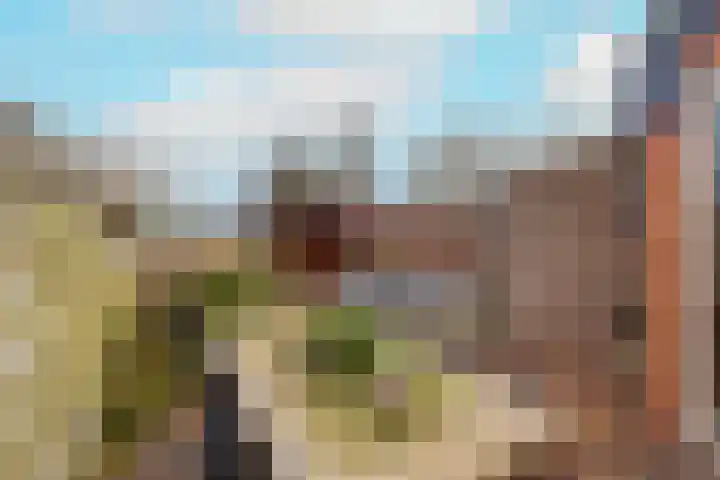 Leeuwerik 23 Kwintsheul thumbnail 39