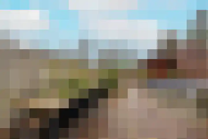 Leeuwerik 23 Kwintsheul thumbnail 40