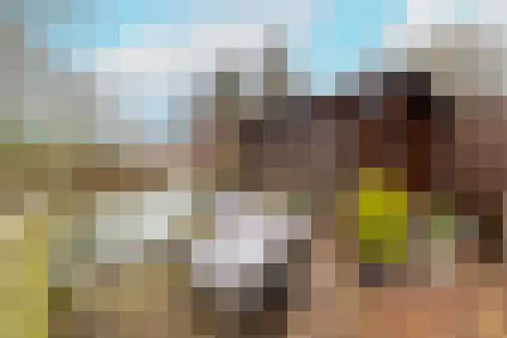 Leeuwerik 23 Kwintsheul thumbnail 41