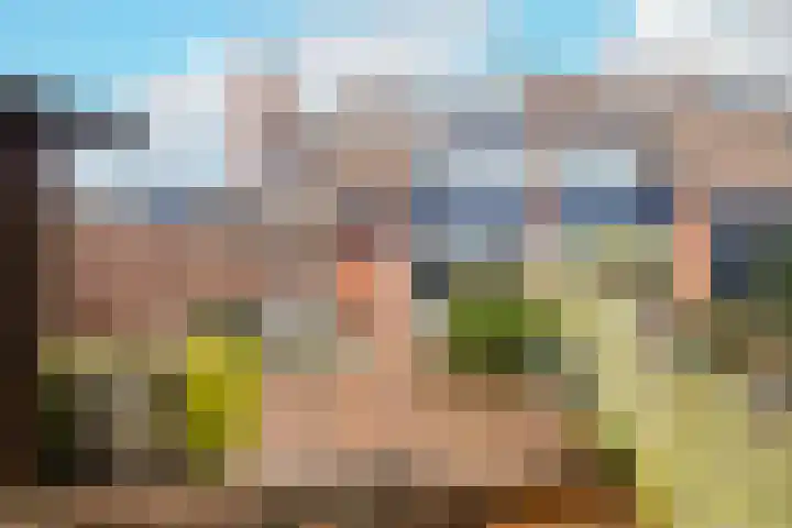 Leeuwerik 23 Kwintsheul thumbnail 42