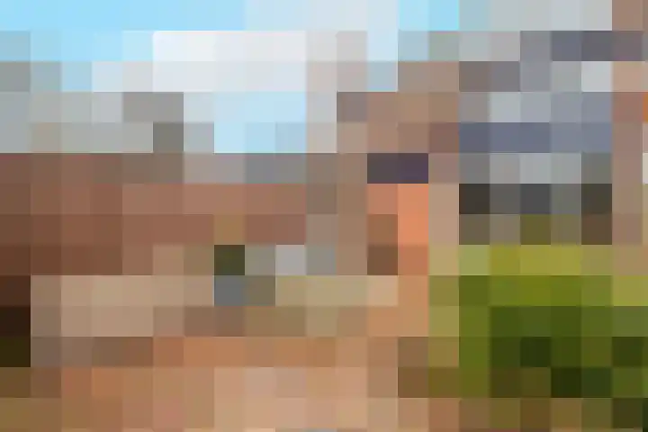 Leeuwerik 23 Kwintsheul thumbnail 43