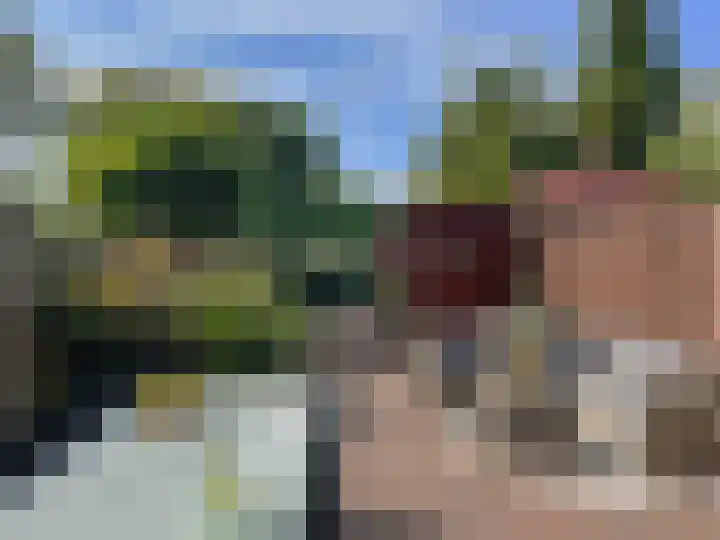 Leeuwerik 23 Kwintsheul thumbnail 45