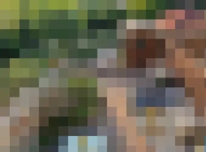 Leeuwerik 23 Kwintsheul thumbnail 46