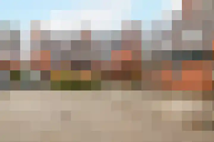 Leeuwerik 23 Kwintsheul thumbnail 48