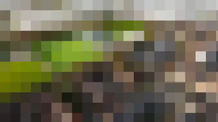 Leeuwerik 23 Kwintsheul thumbnail 49