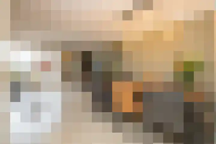 Leeuwerik 23 Kwintsheul thumbnail 8