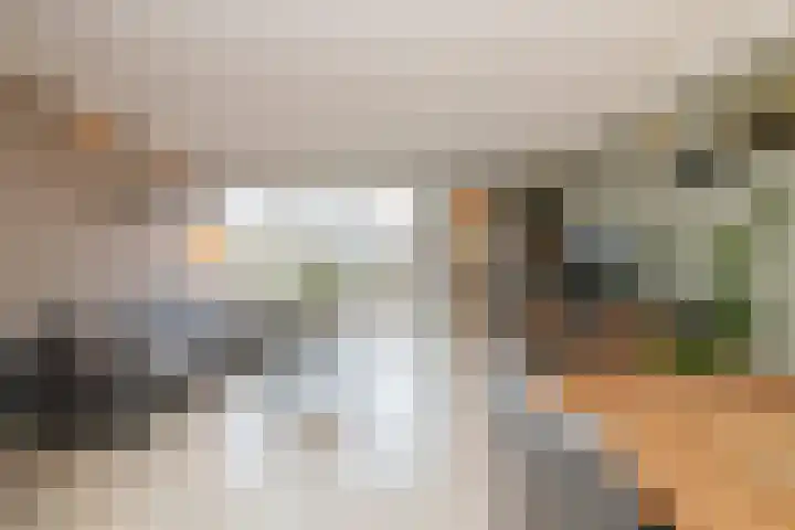 Leeuwerik 23 Kwintsheul thumbnail 9