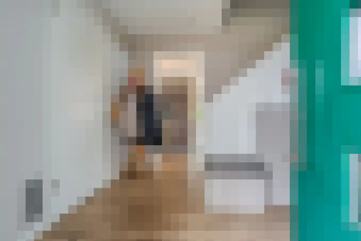 Leeuwerik 24 Blauwestad thumbnail 12