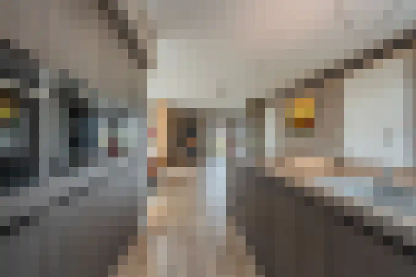 Leeuwerik 24 Blauwestad thumbnail 17