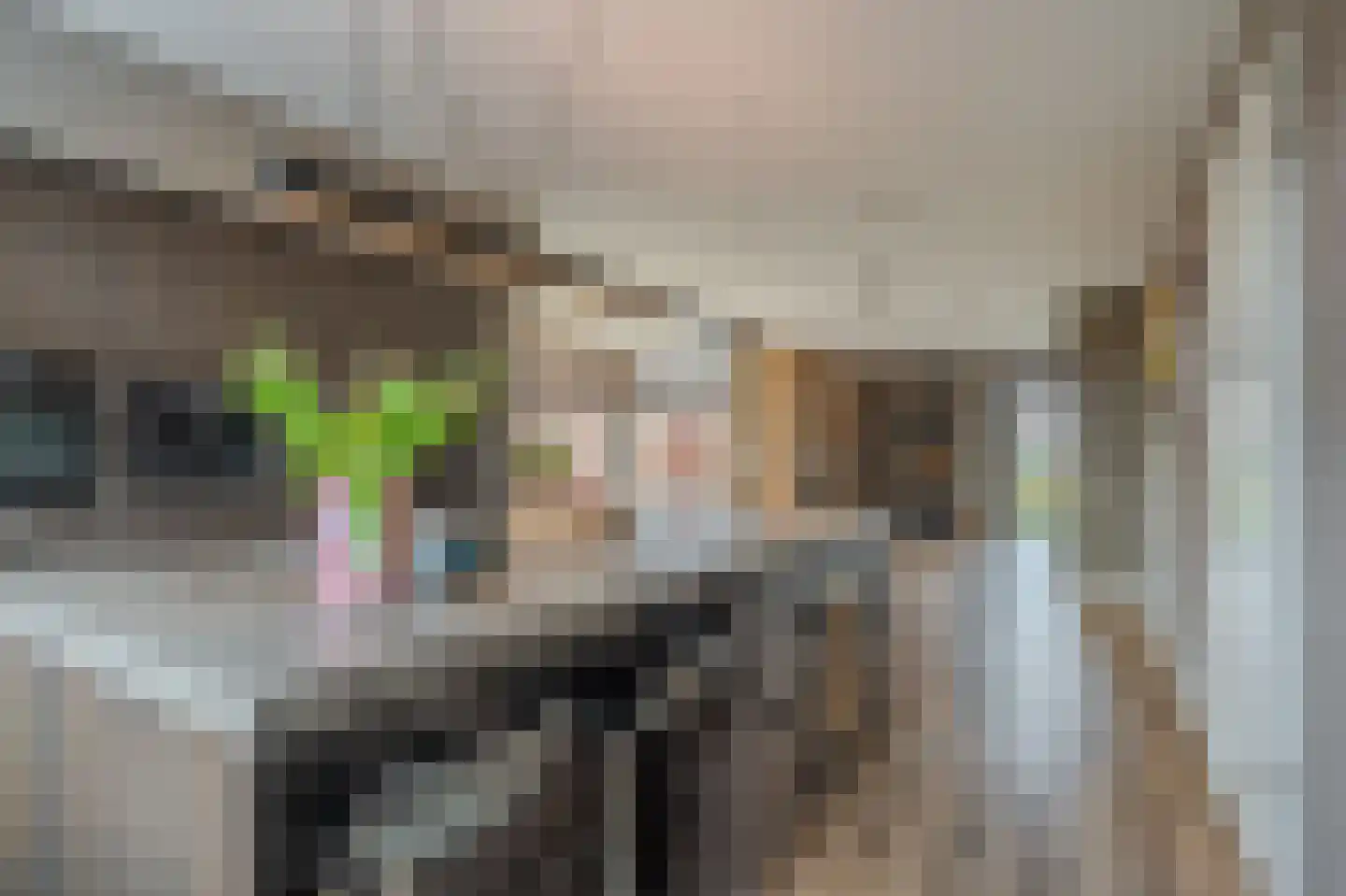 Leeuwerik 24 Blauwestad thumbnail 18