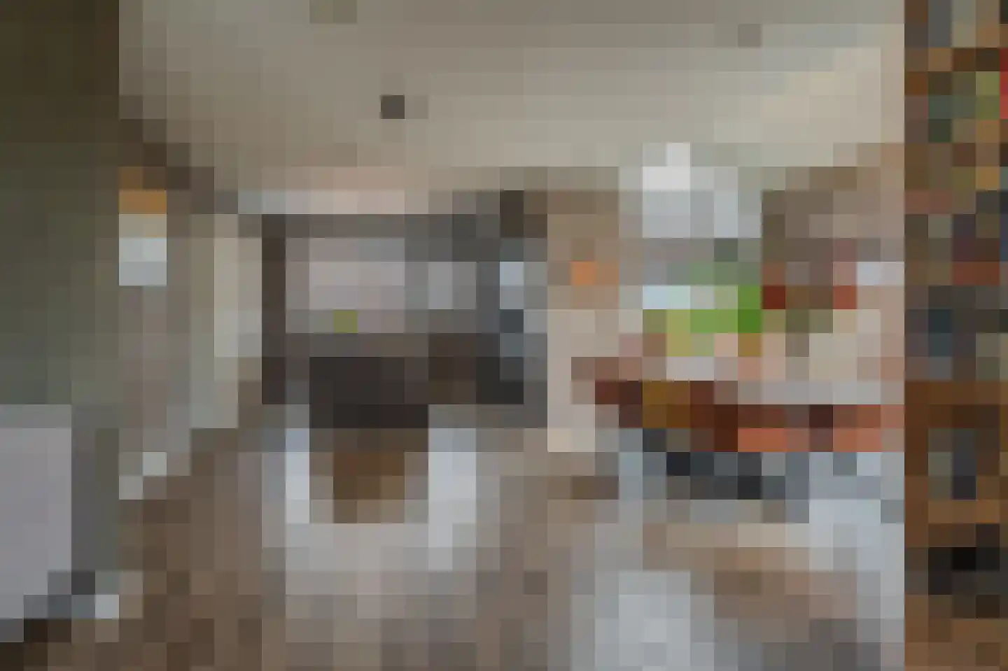 Leeuwerik 24 Blauwestad thumbnail 24