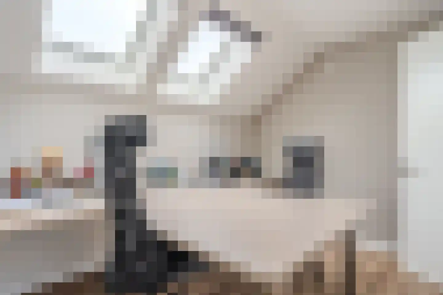Leeuwerik 24 Blauwestad thumbnail 35
