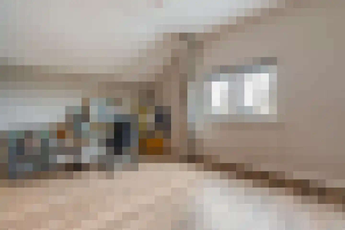Leeuwerik 24 Blauwestad thumbnail 41