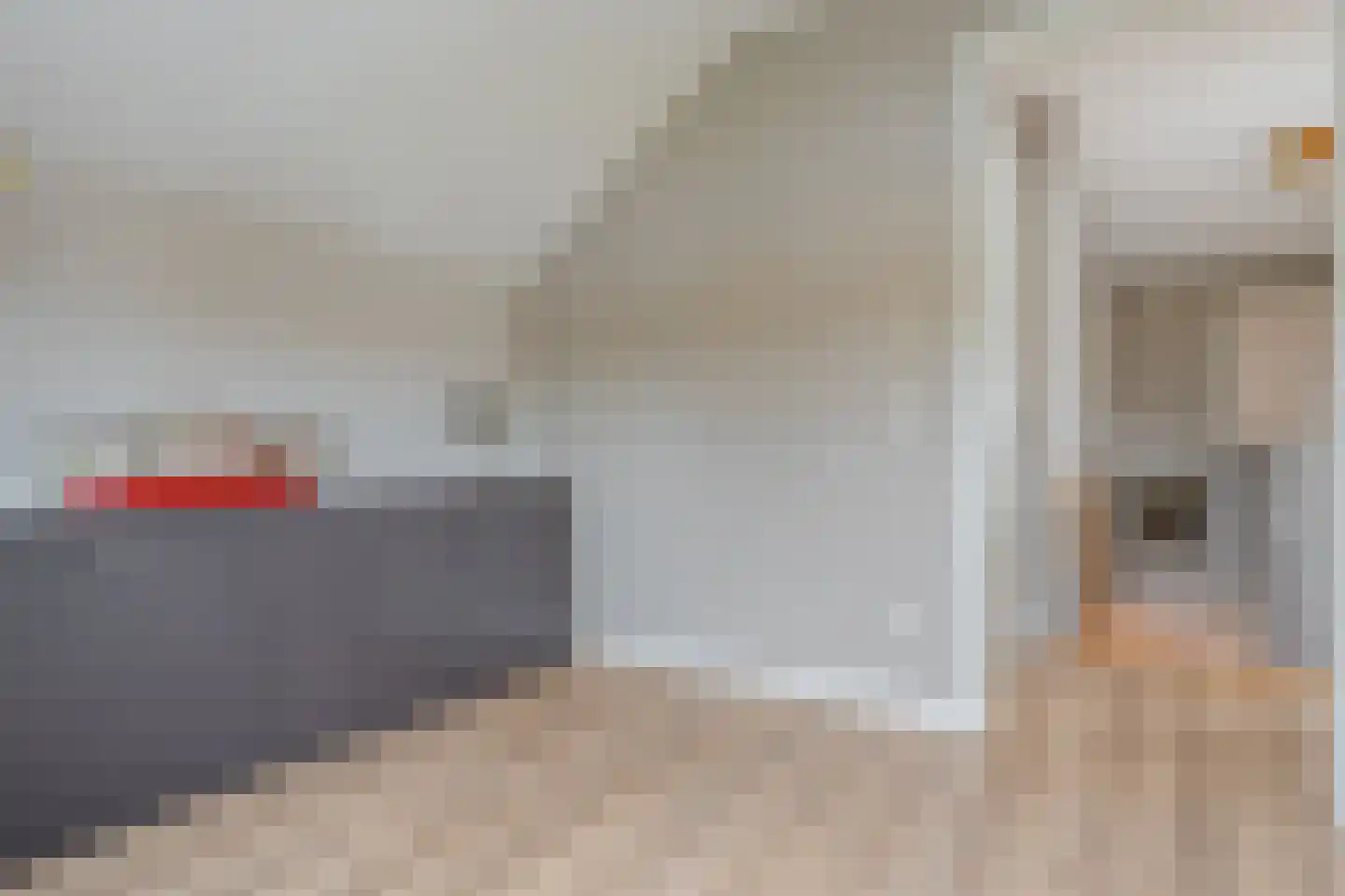 Leeuwerik 24 Blauwestad thumbnail 43