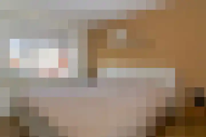 Leeuwerik 25 Bunschoten-Spakenburg thumbnail 14