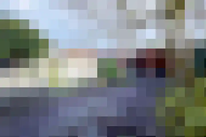 Leeuwerik 25 Bunschoten-Spakenburg thumbnail 30