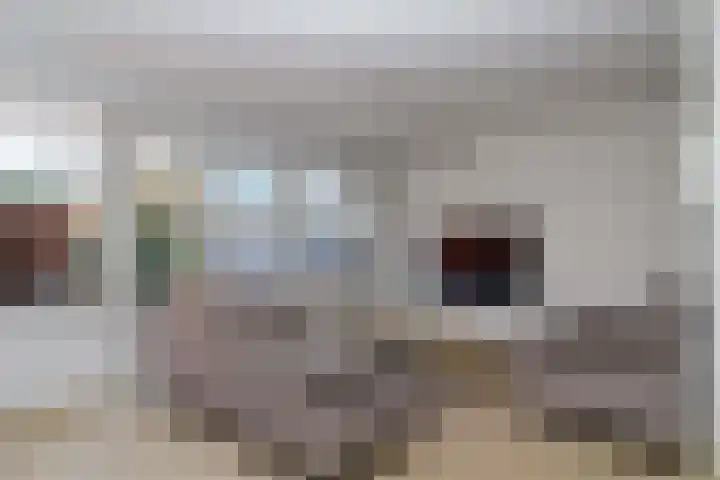 Leeuwerik 25 Bunschoten-Spakenburg thumbnail 4