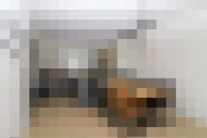 Leeuwerik 25 Bunschoten-Spakenburg thumbnail 6