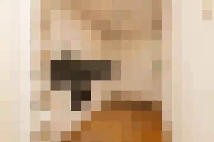 Leeuwerik 25 Kwintsheul thumbnail 11