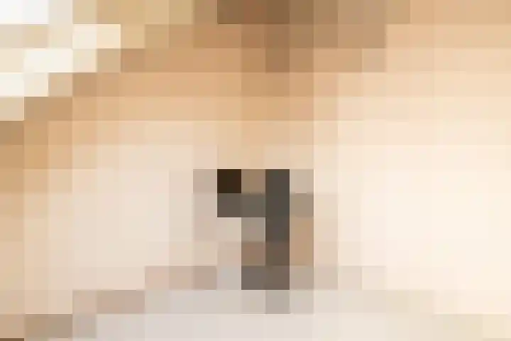 Leeuwerik 25 Kwintsheul thumbnail 26