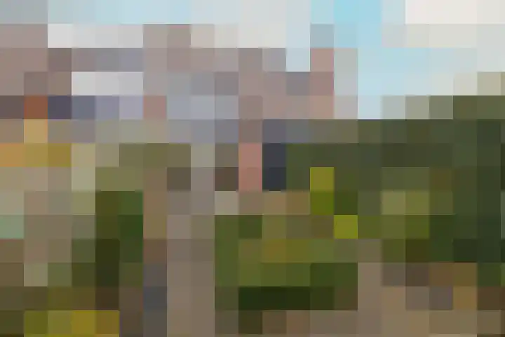 Leeuwerik 25 Kwintsheul thumbnail 34