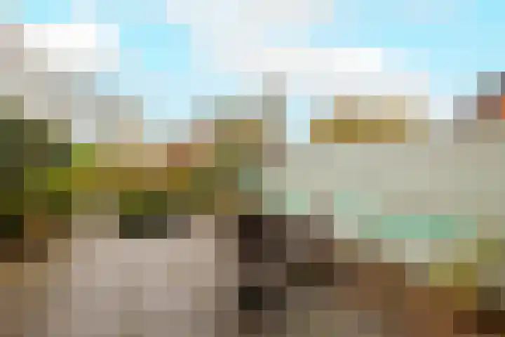 Leeuwerik 25 Kwintsheul thumbnail 36