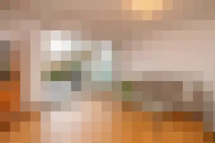 Leeuwerik 25 Kwintsheul thumbnail 8