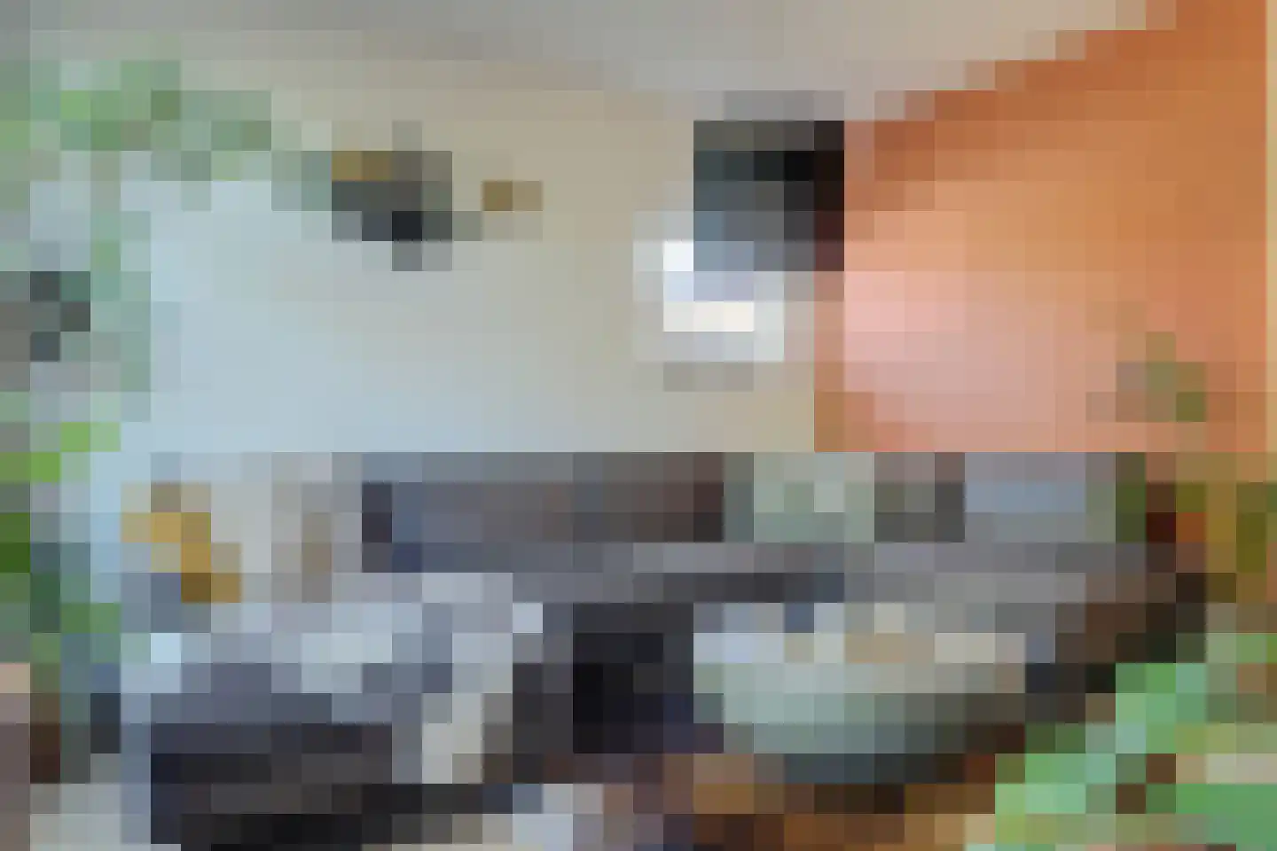 Leeuwerik 26 Venhuizen thumbnail 14