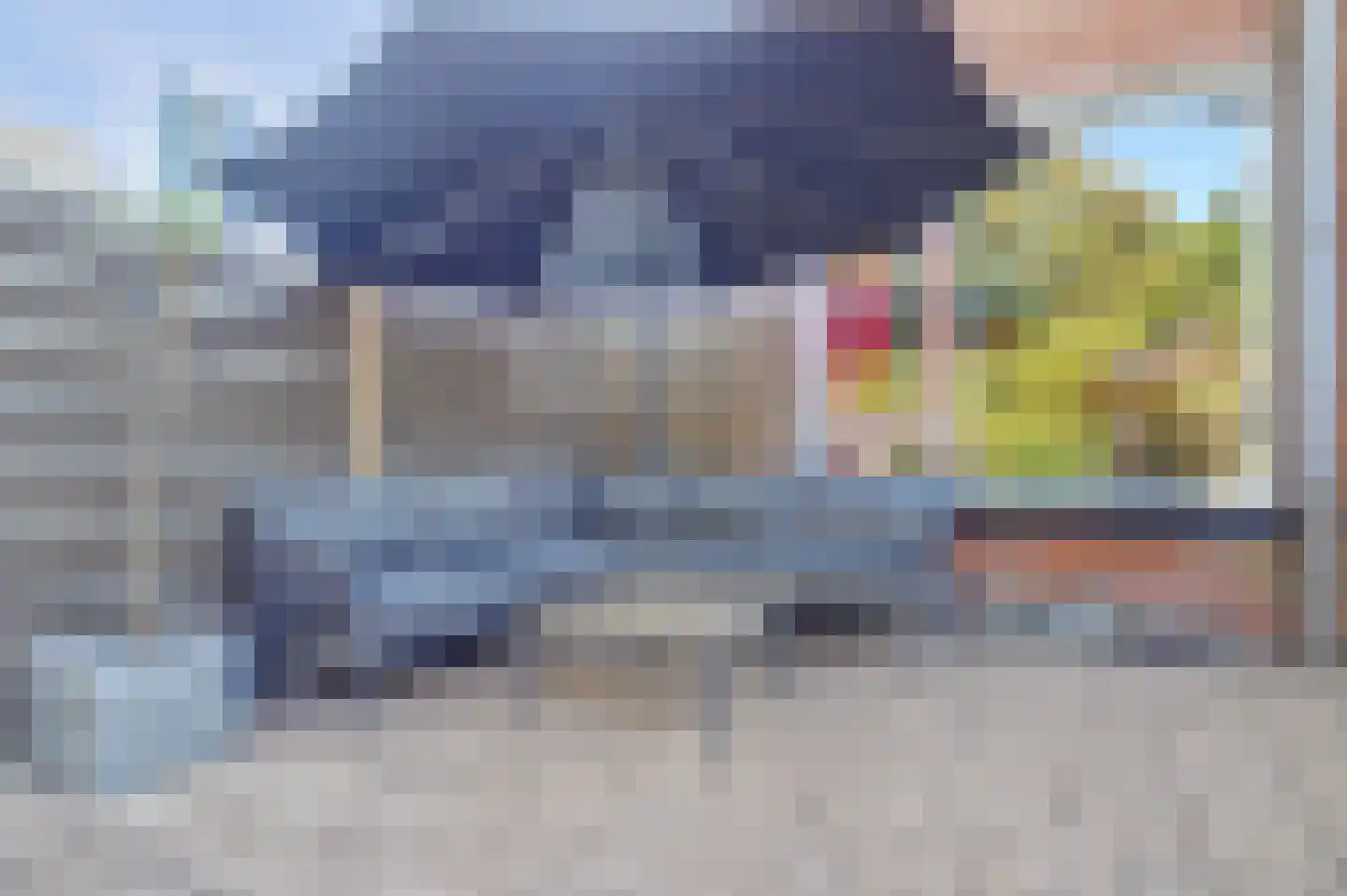 Leeuwerik 26 Venhuizen thumbnail 15