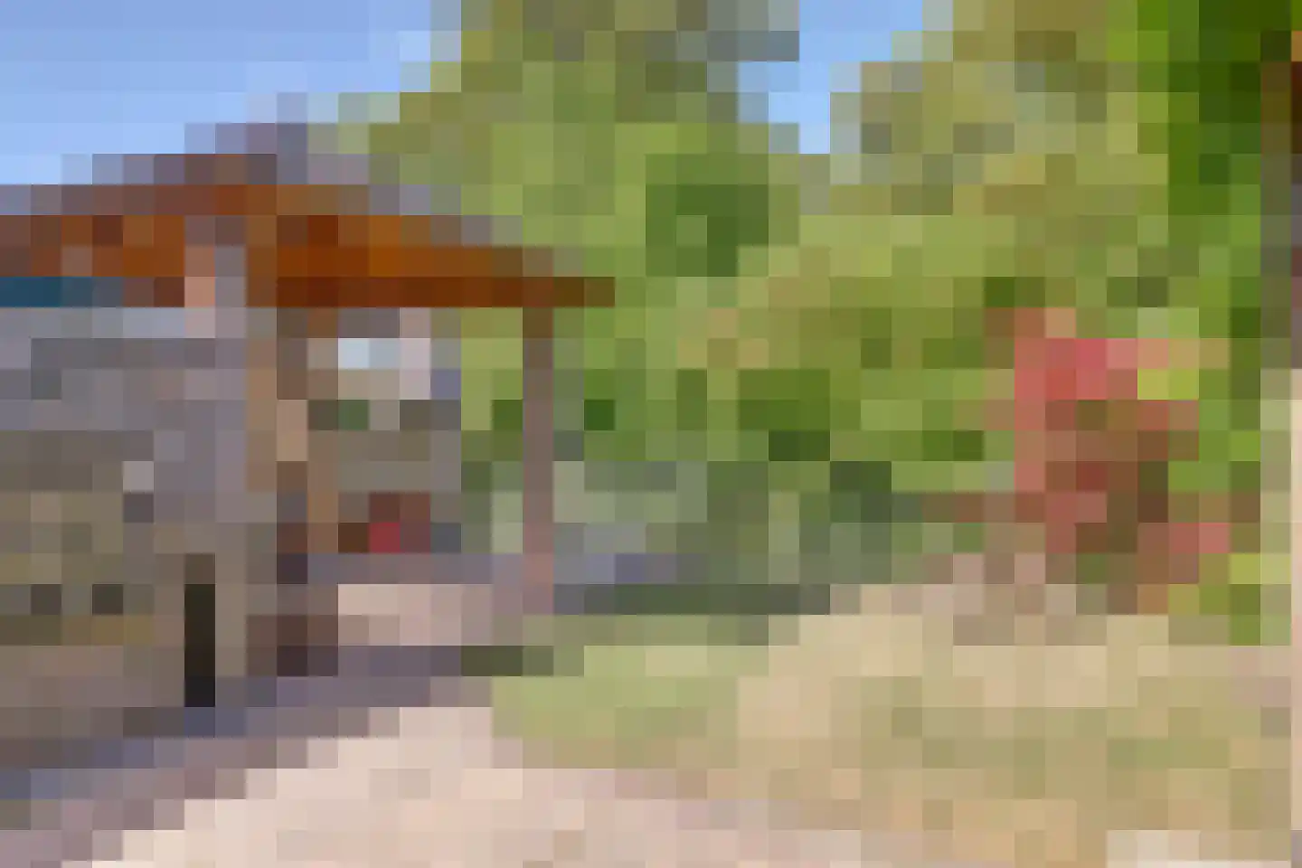 Leeuwerik 26 Venhuizen thumbnail 17
