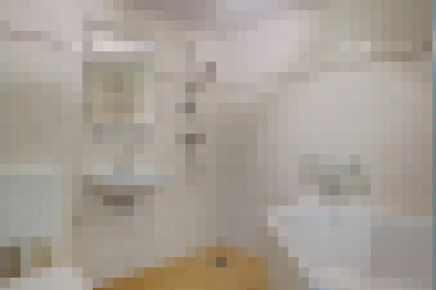 Leeuwerik 26 Venhuizen thumbnail 24