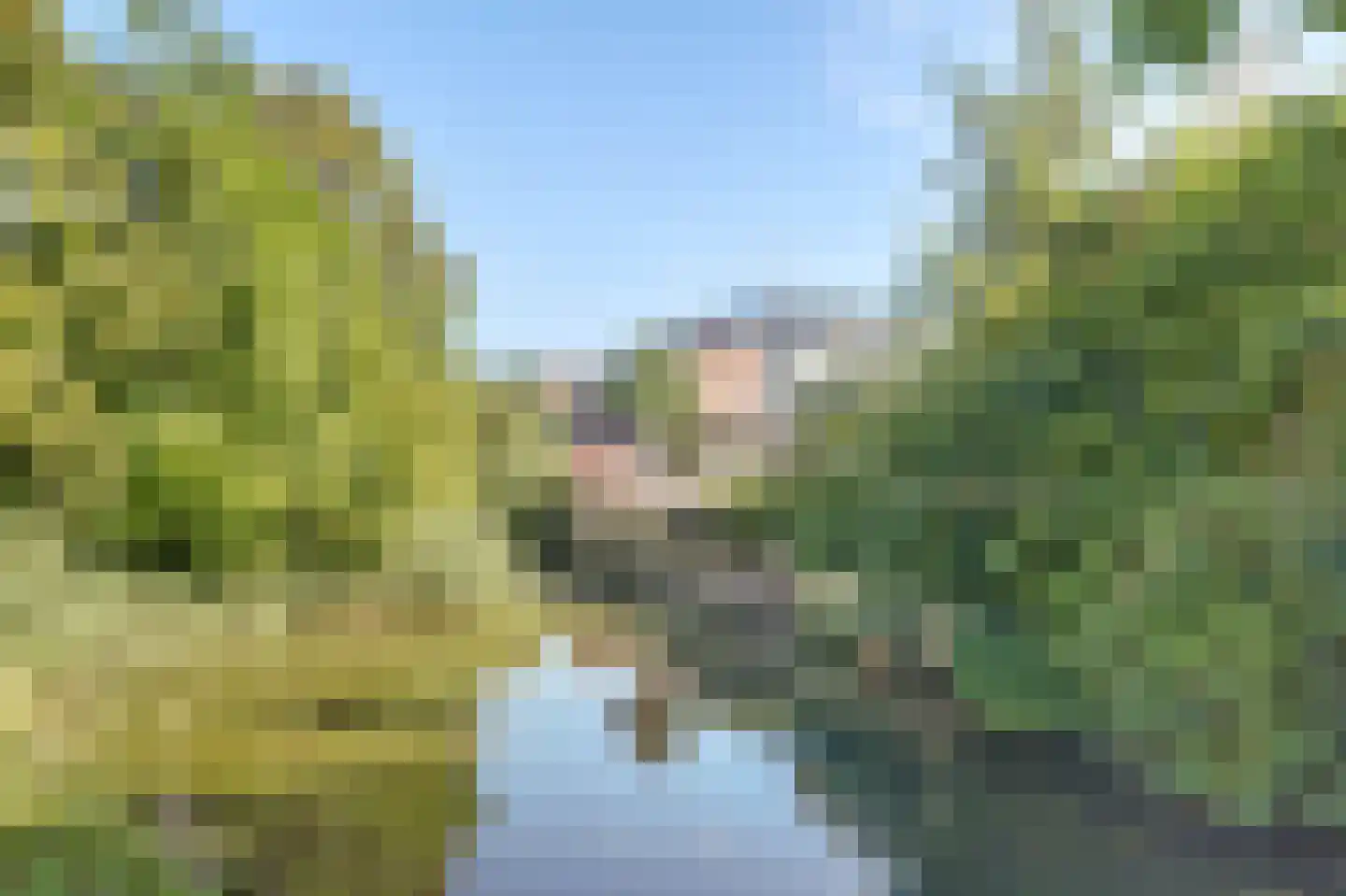 Leeuwerik 26 Venhuizen thumbnail 31