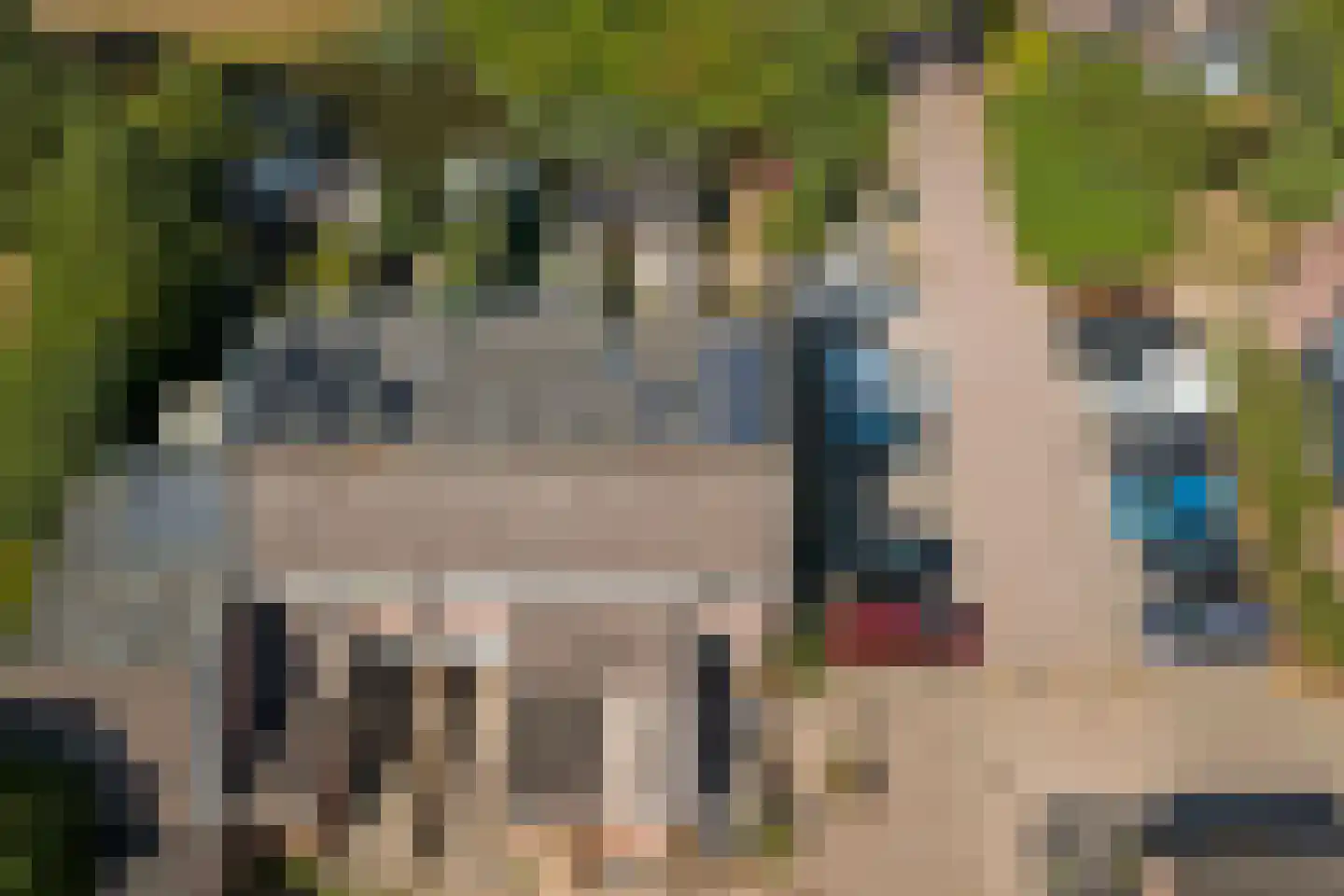 Leeuwerik 26 Venhuizen thumbnail 36