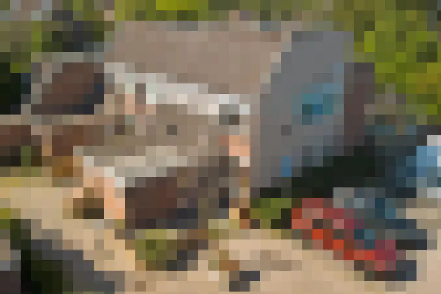 Leeuwerik 26 Venhuizen thumbnail 4