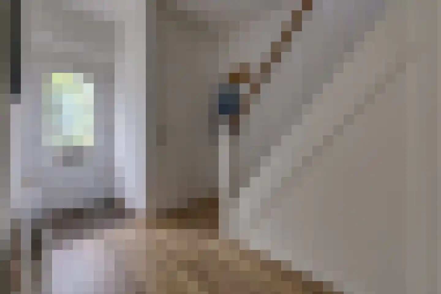 Leeuwerik 29 Ter Apel thumbnail 20