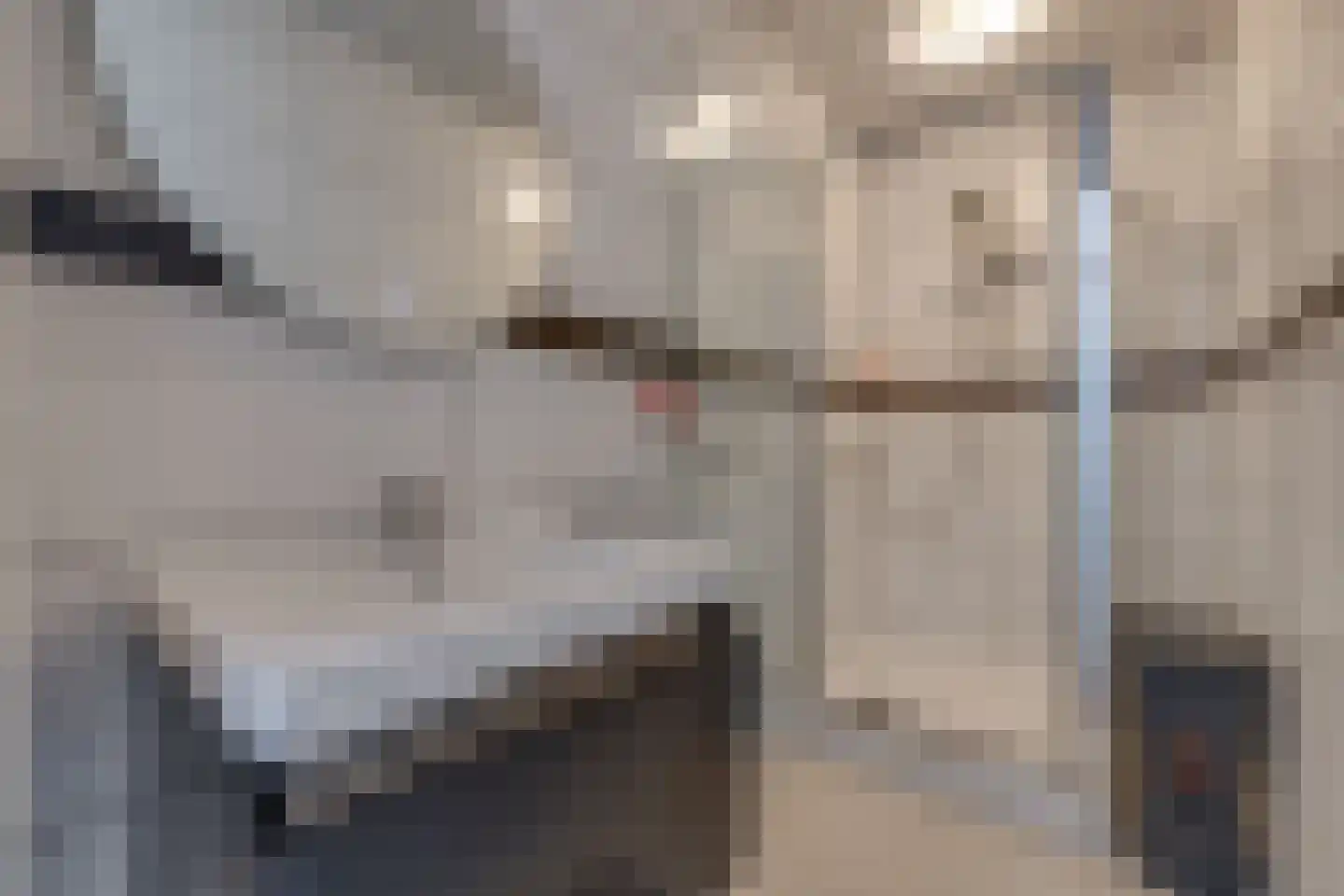 Leeuwerik 29 Ter Apel thumbnail 28