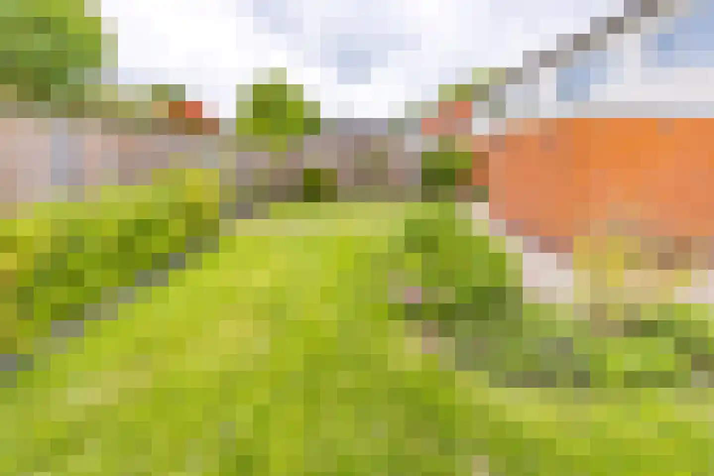Leeuwerik 29 Ter Apel thumbnail 35